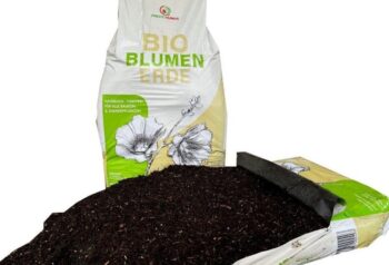 Terreau bio sans tourbe, sac de 40 L