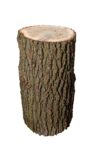 Billot de fendage en bois dur chêne, hauteur 75 cm